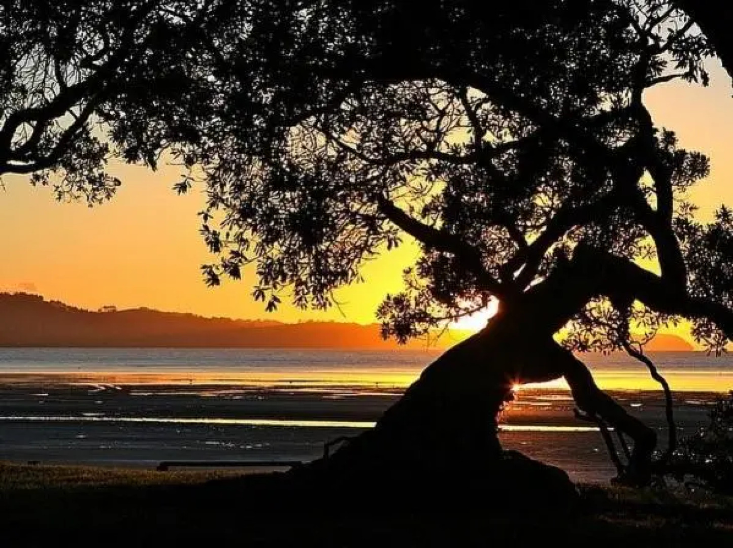 Beachside at Snells - Snells Beach Holiday Apartment