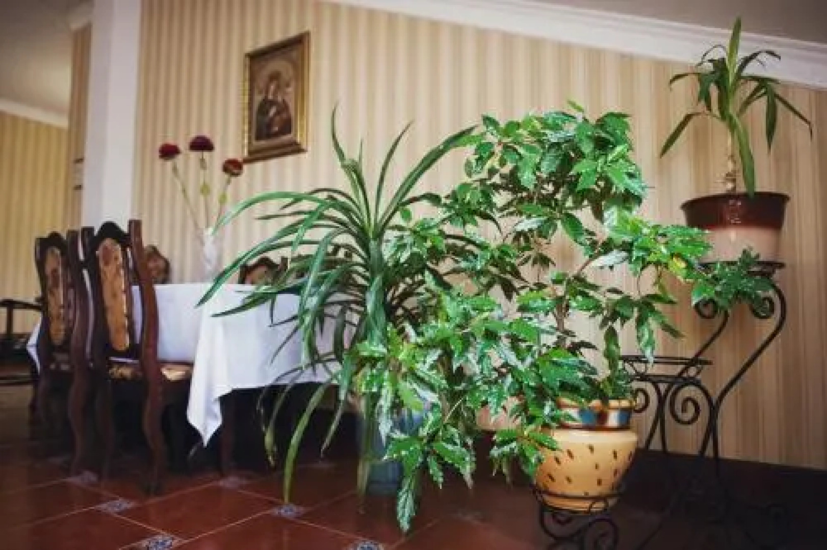 Complex Zolota Pidkova