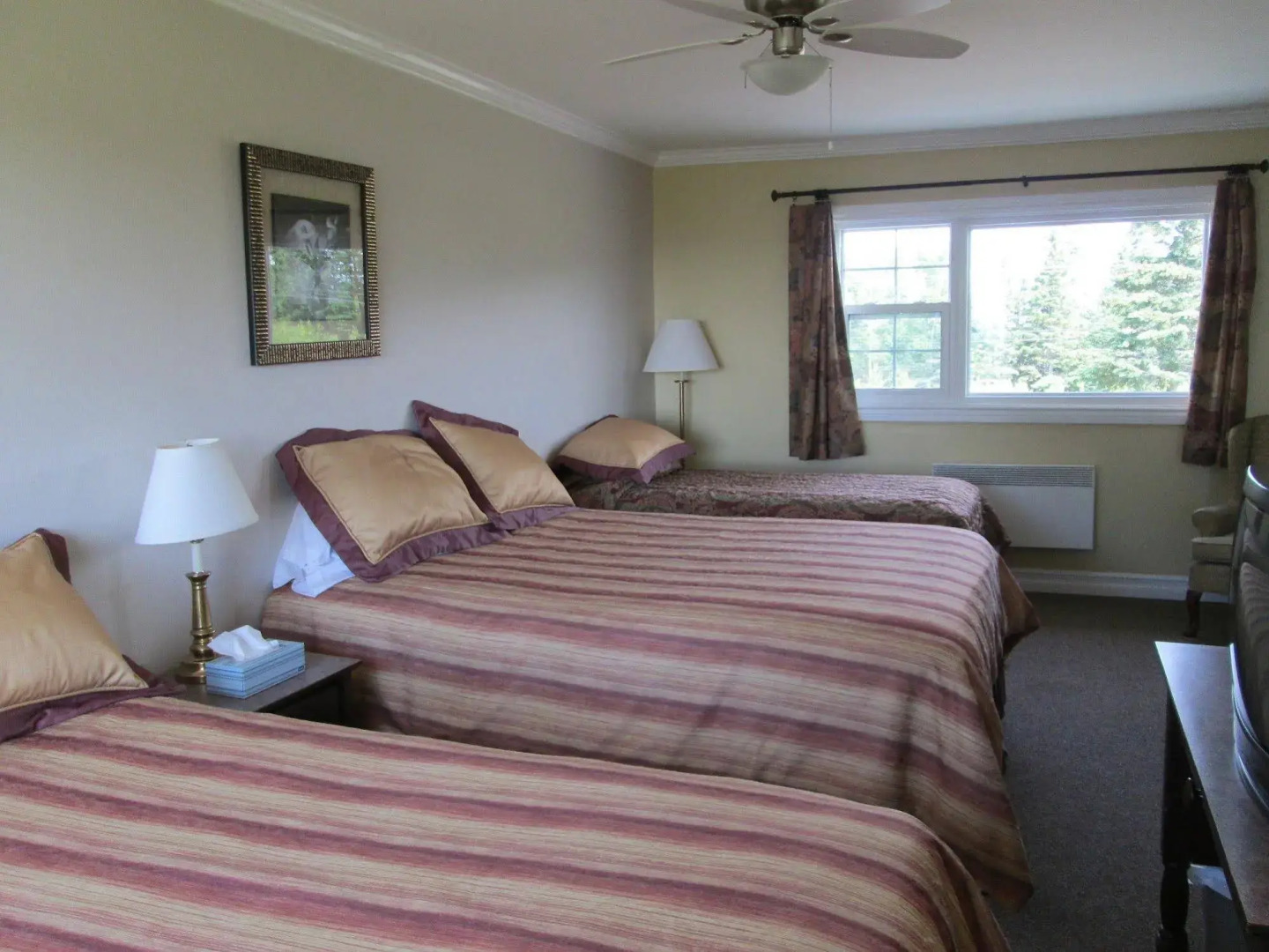 Scenic Motel Moncton