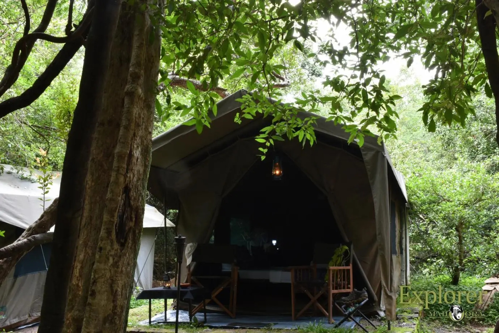 Explorer by Mahoora - Wasgamuwa