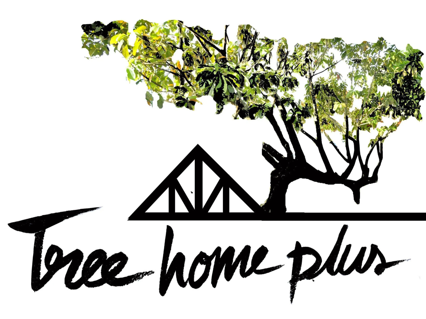Tree Home Plus Home Stay