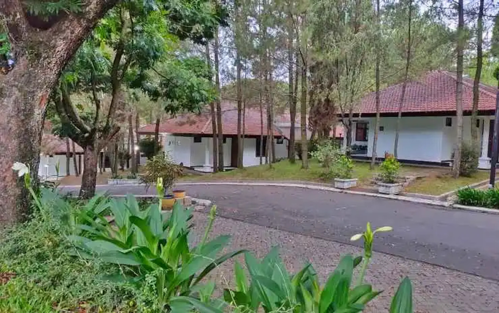 Roemah YWI by Excellence