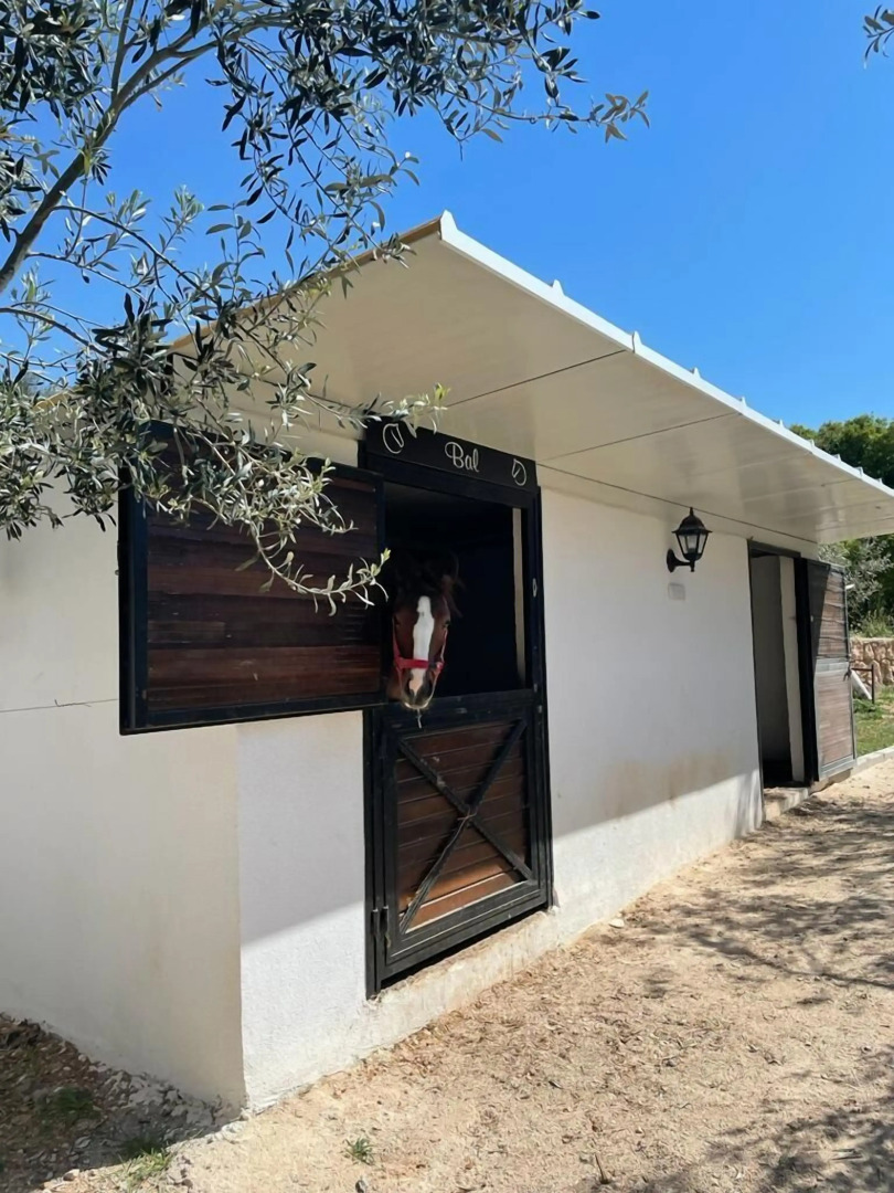 Turnabogazi Ciftlik Evleri