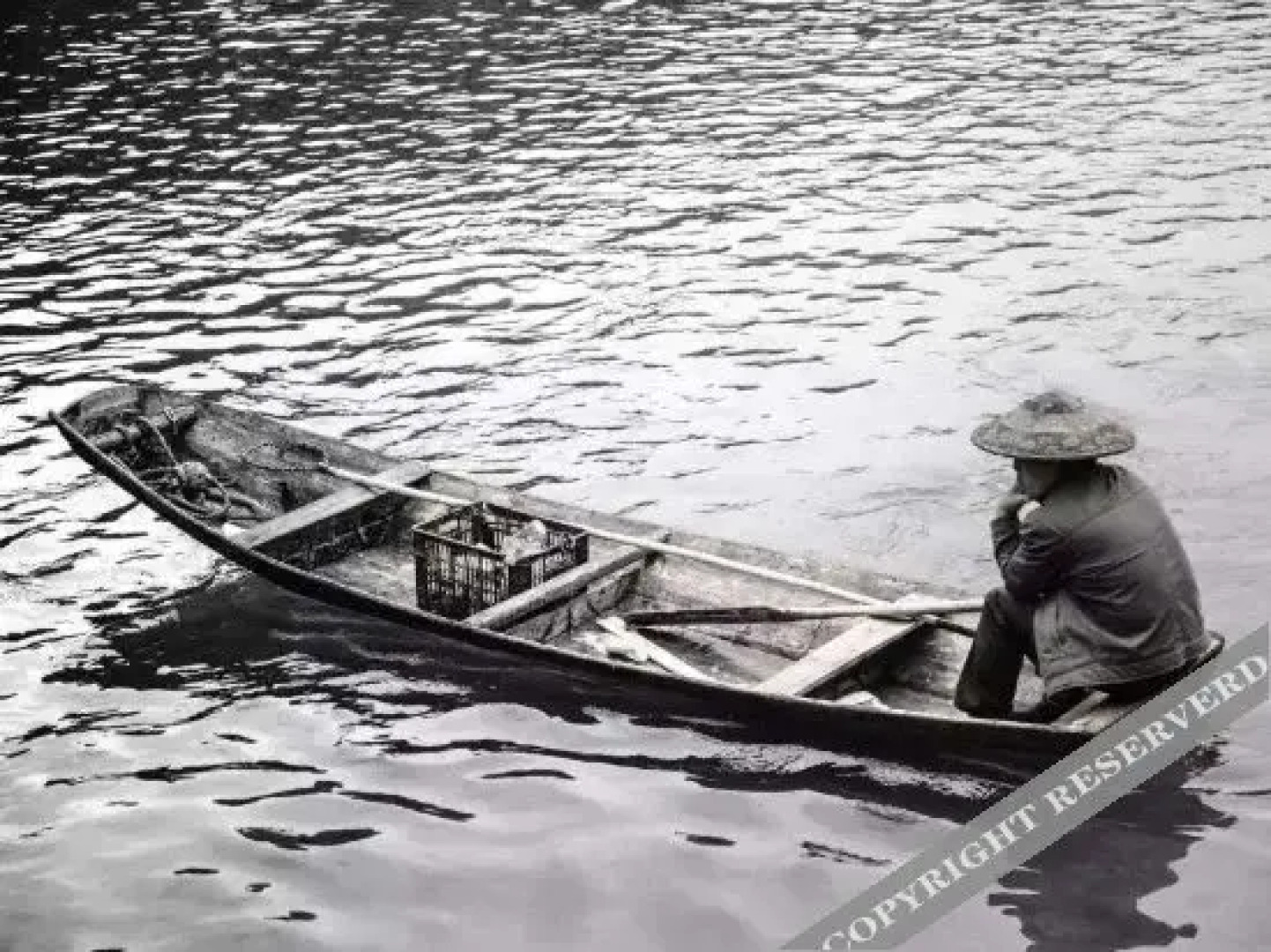 Qininn Fenghuangxianheng