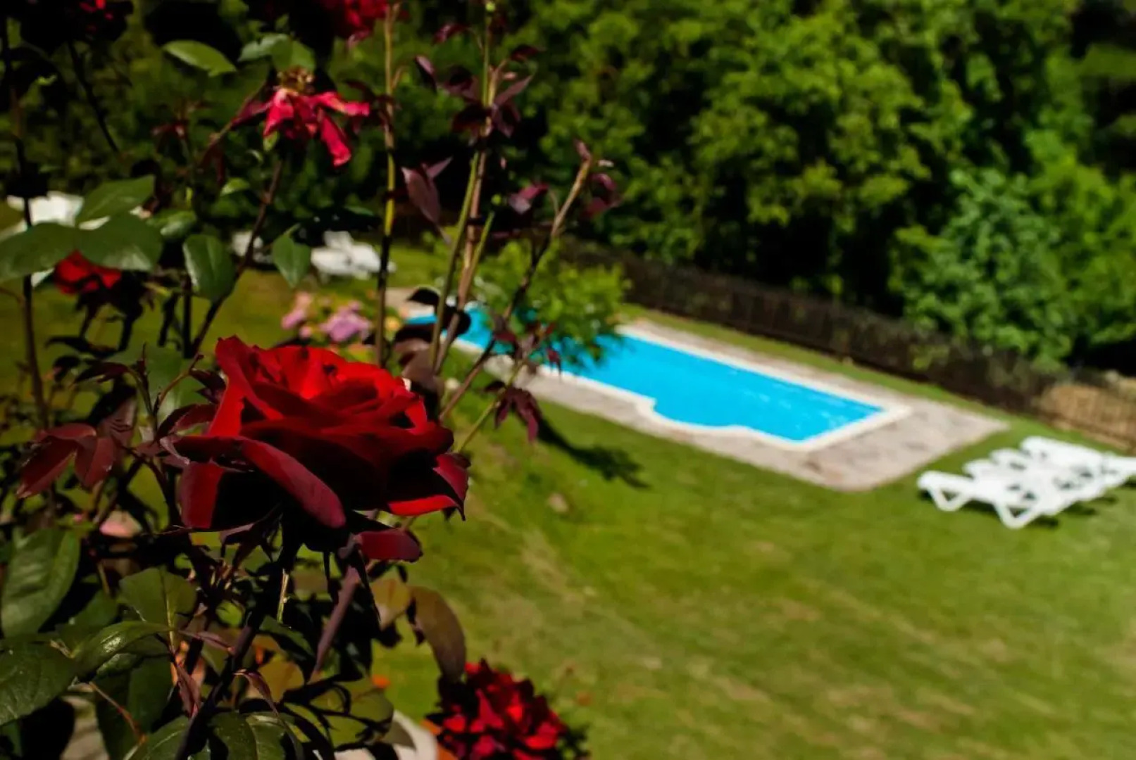 Viviendas Rurales Traldega