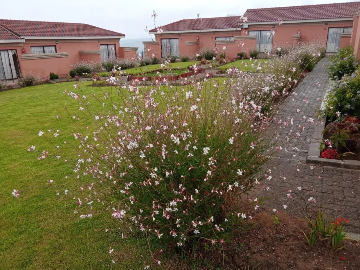 Twilight Breeze Lodge