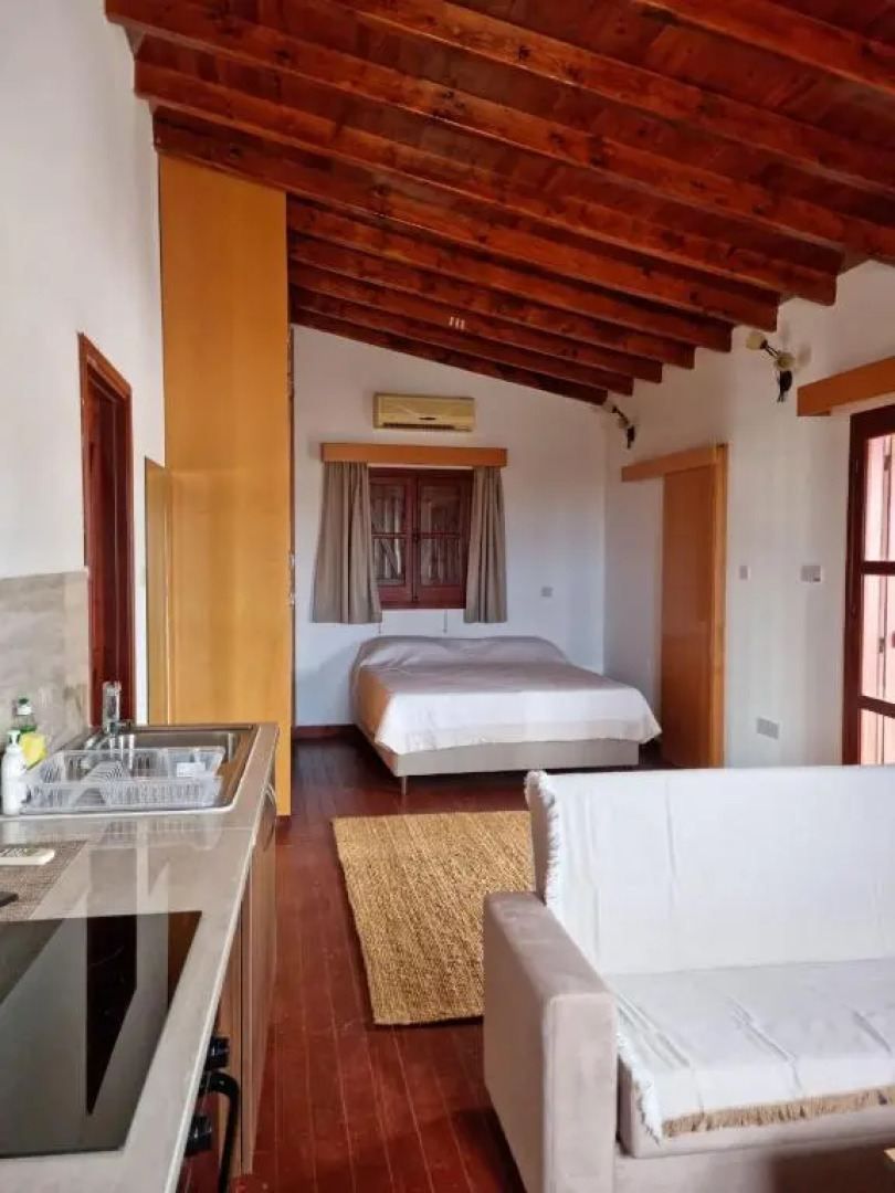 Steni Traditional Studio Apartment