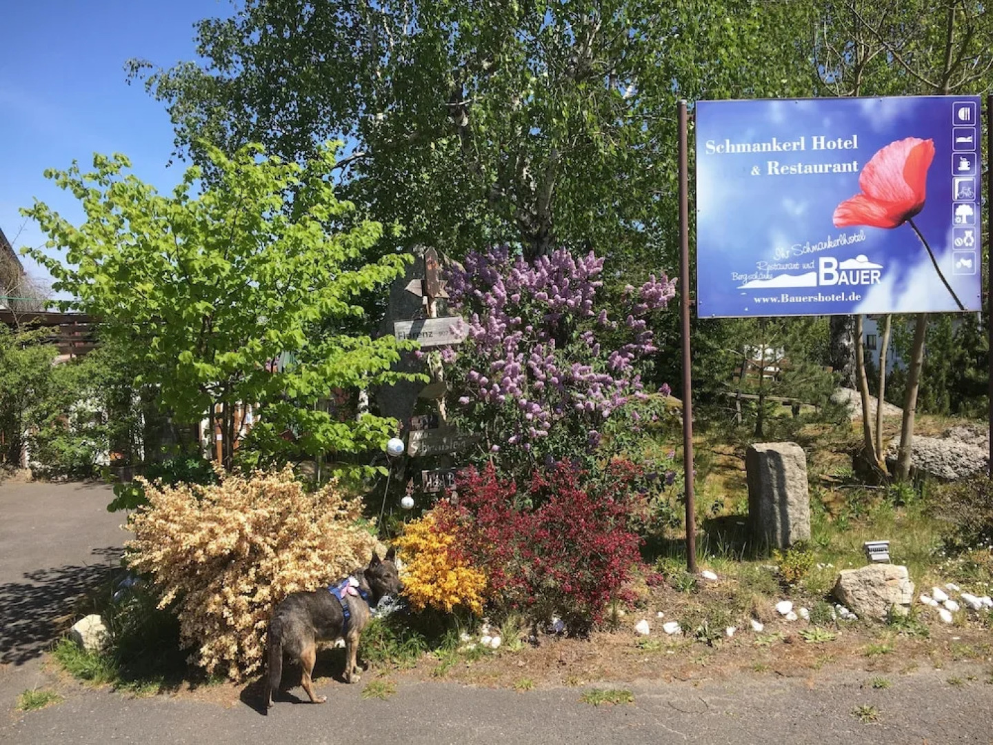 Schmankerl Hotel Bauer