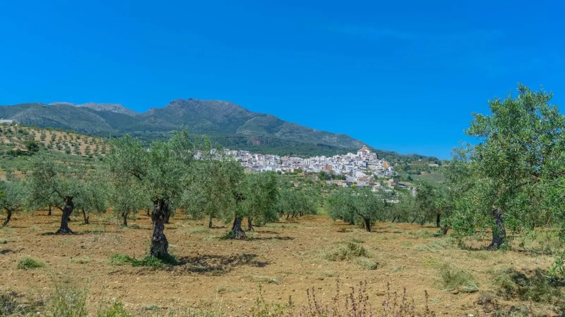 Casa Trigueros Alozaina by Ruralidays