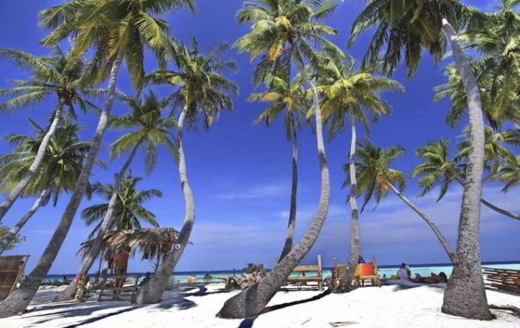 Arena Lodge Maldives