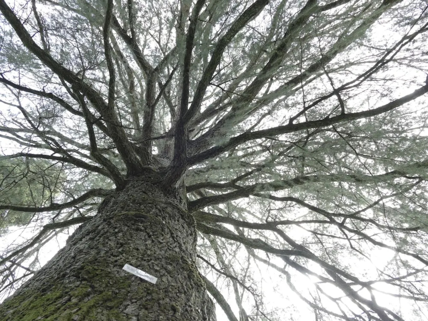 Hotel Rural Villa Onuba