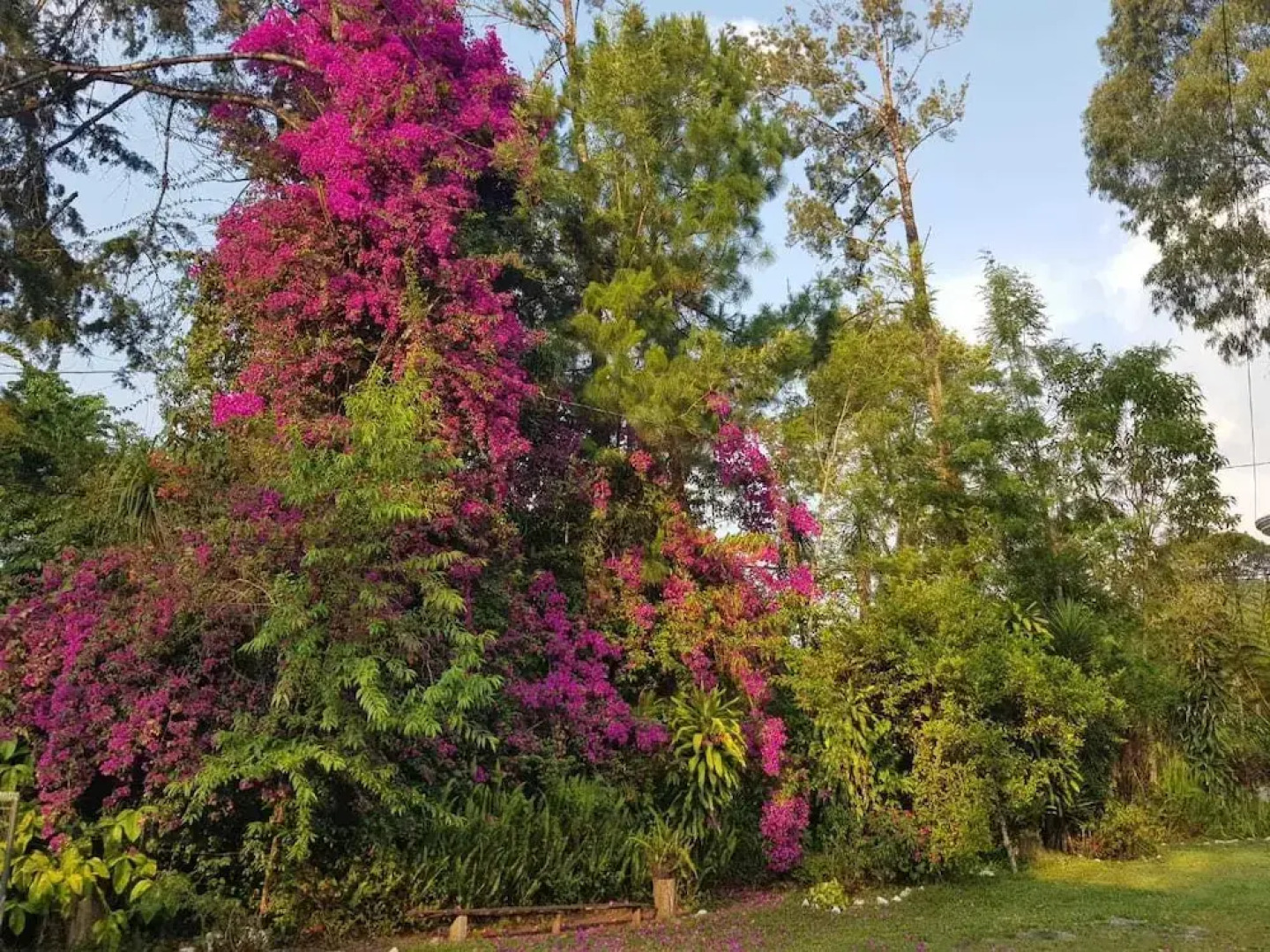 Eco Hotel Villas del Bosque