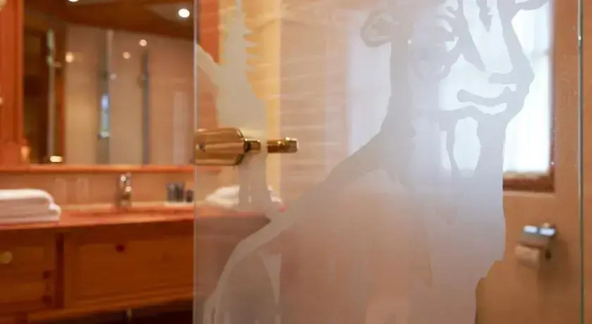 Sporthotel Silvretta