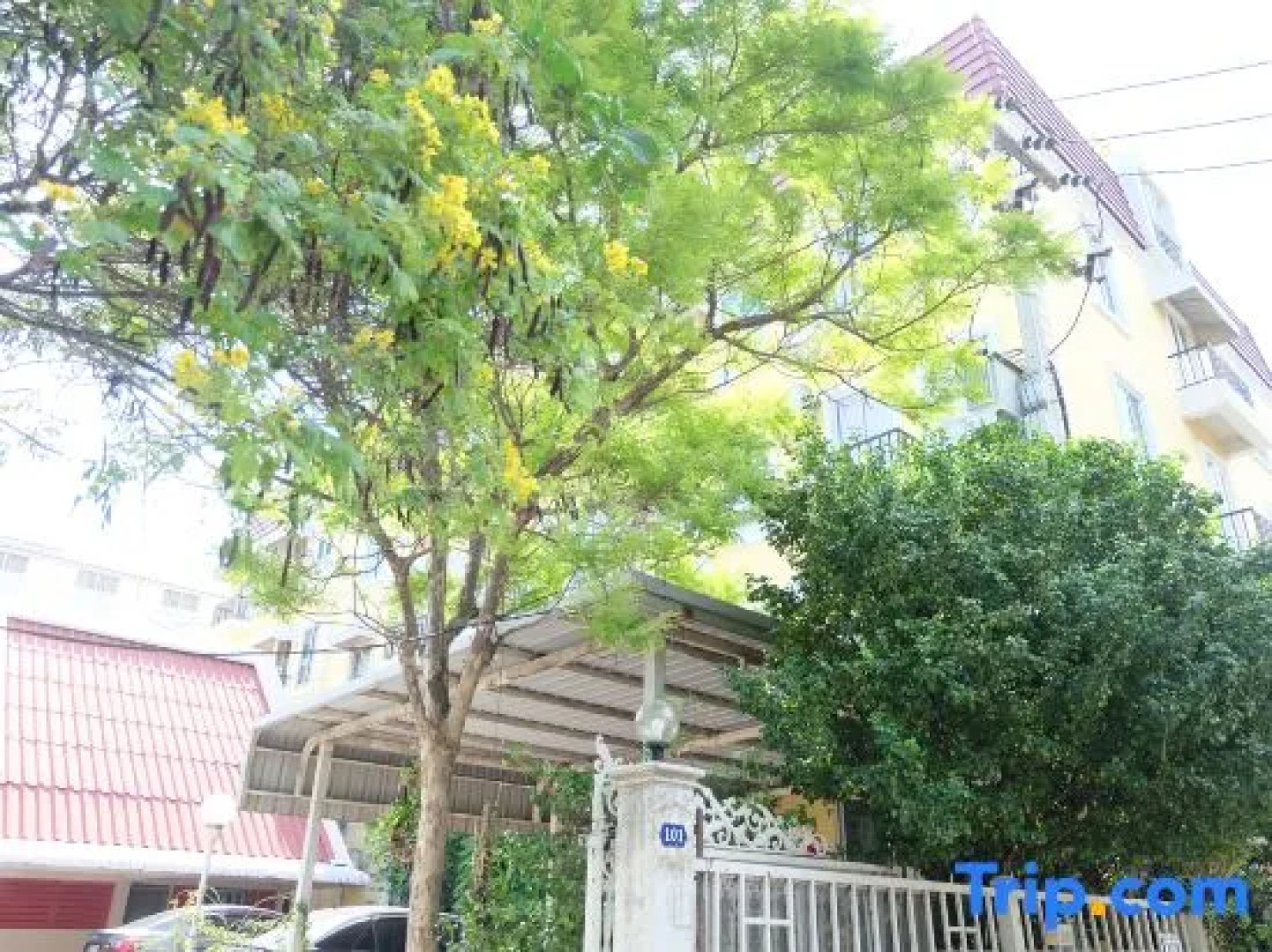 POP 75429 101 Place Navanakorn