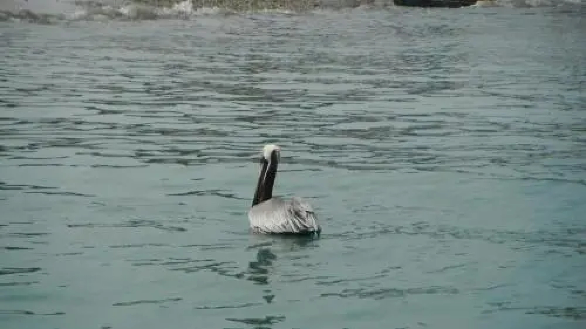 Hospedaje Algarrobo Machalilla