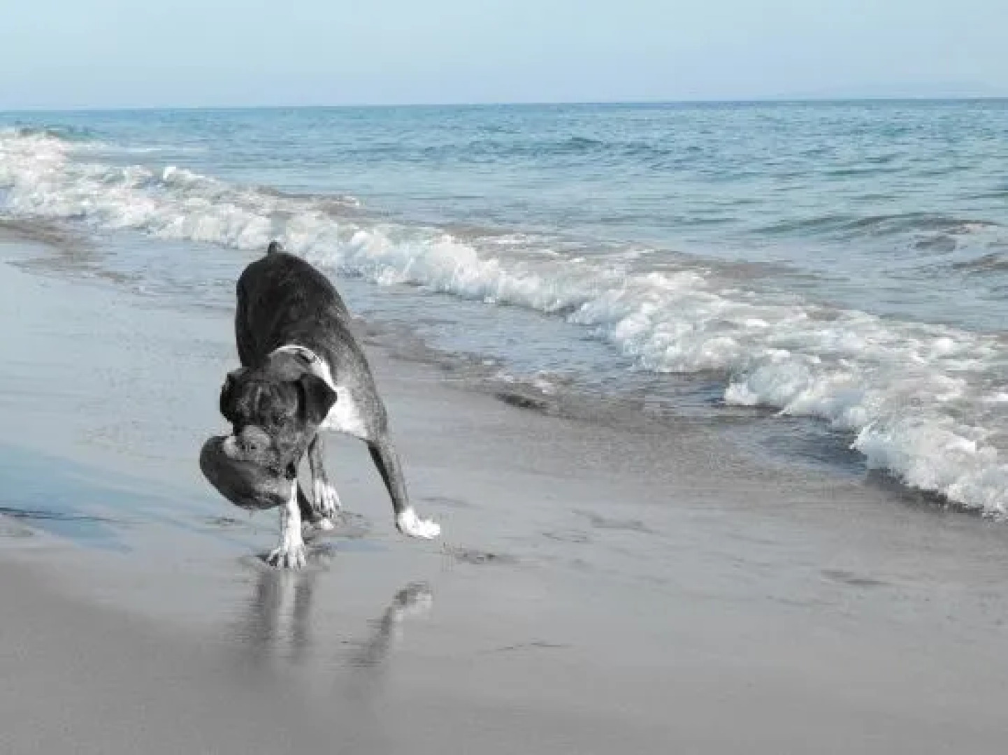 Nikos & Vivi Studios