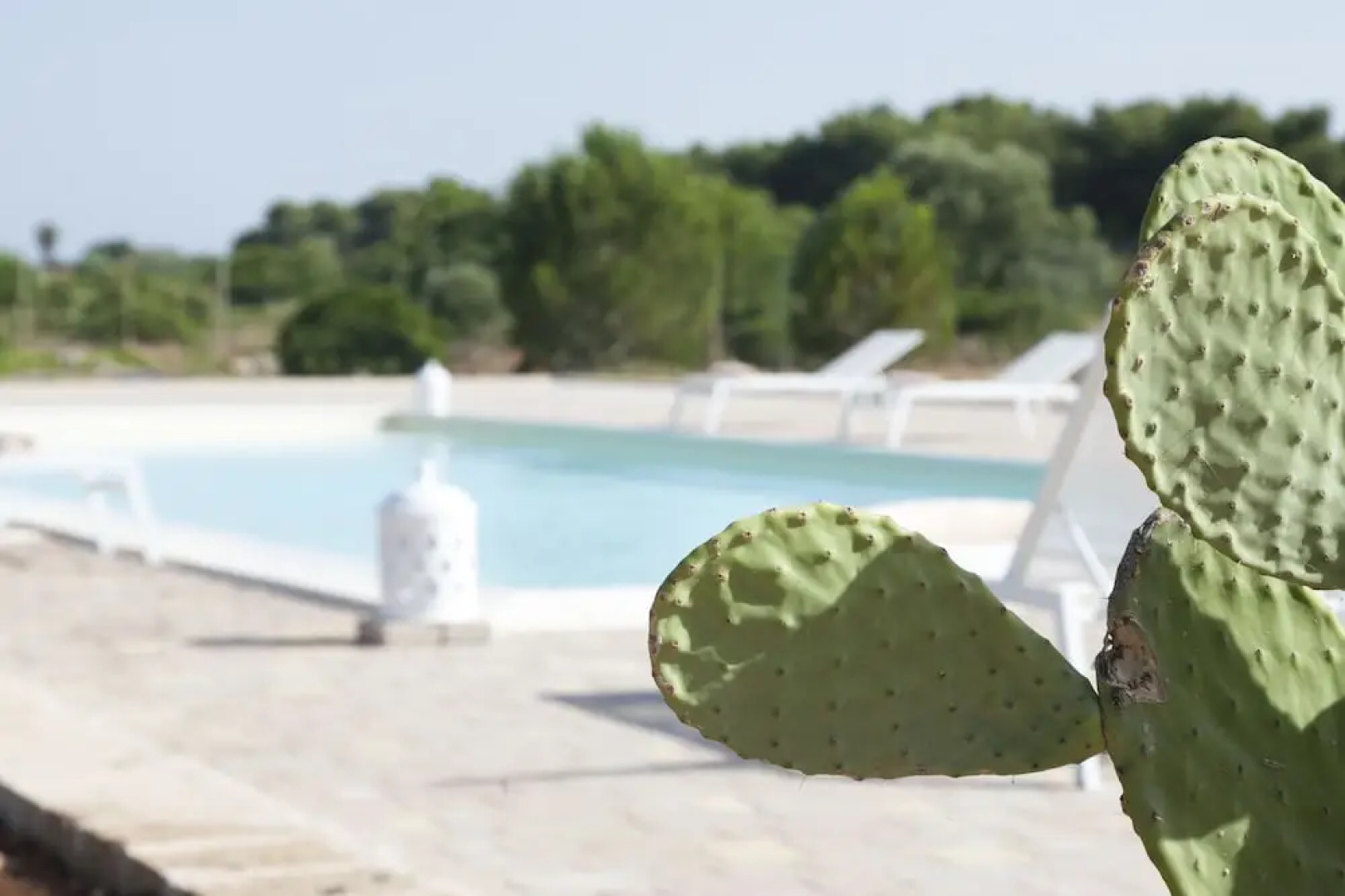 Hotel Due Passi dal Pizzo