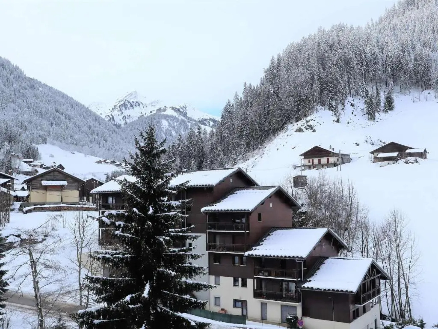 Appartement Arêches-Beaufort, 2 pièces, 4 personnes - FR-1-342-173