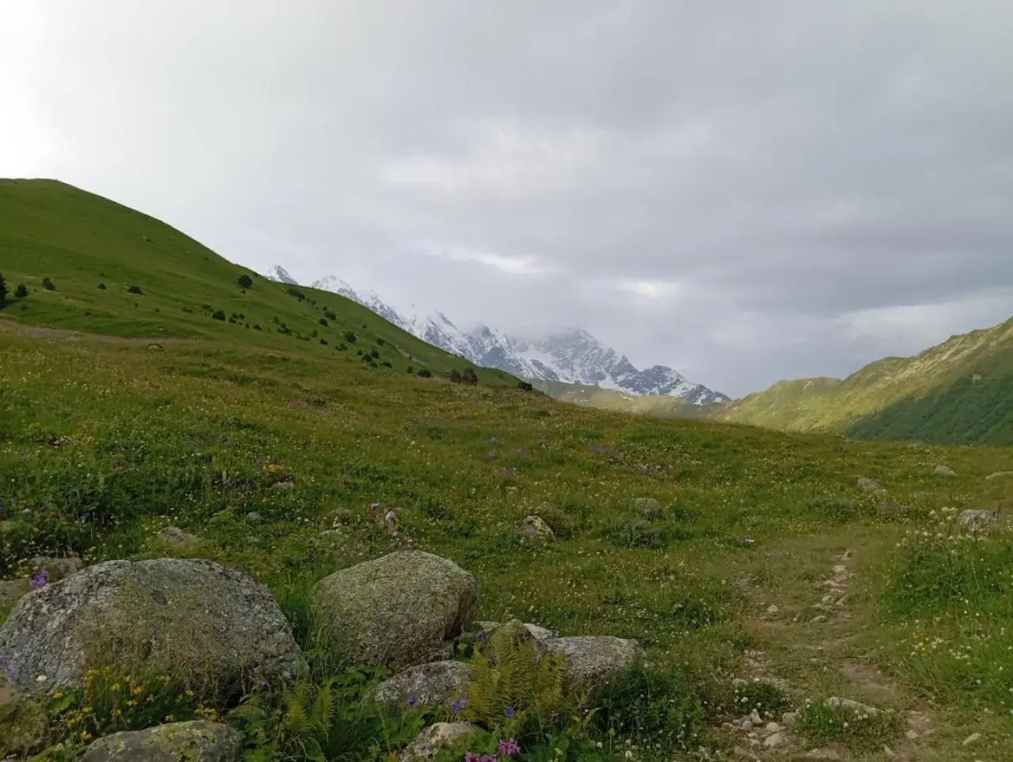 Elizabeth's Guest House