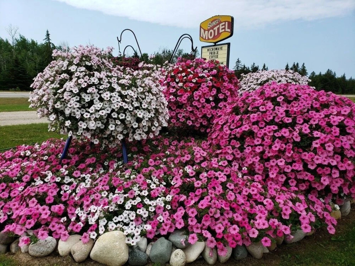 Sunset Motel at Armand's Gardens