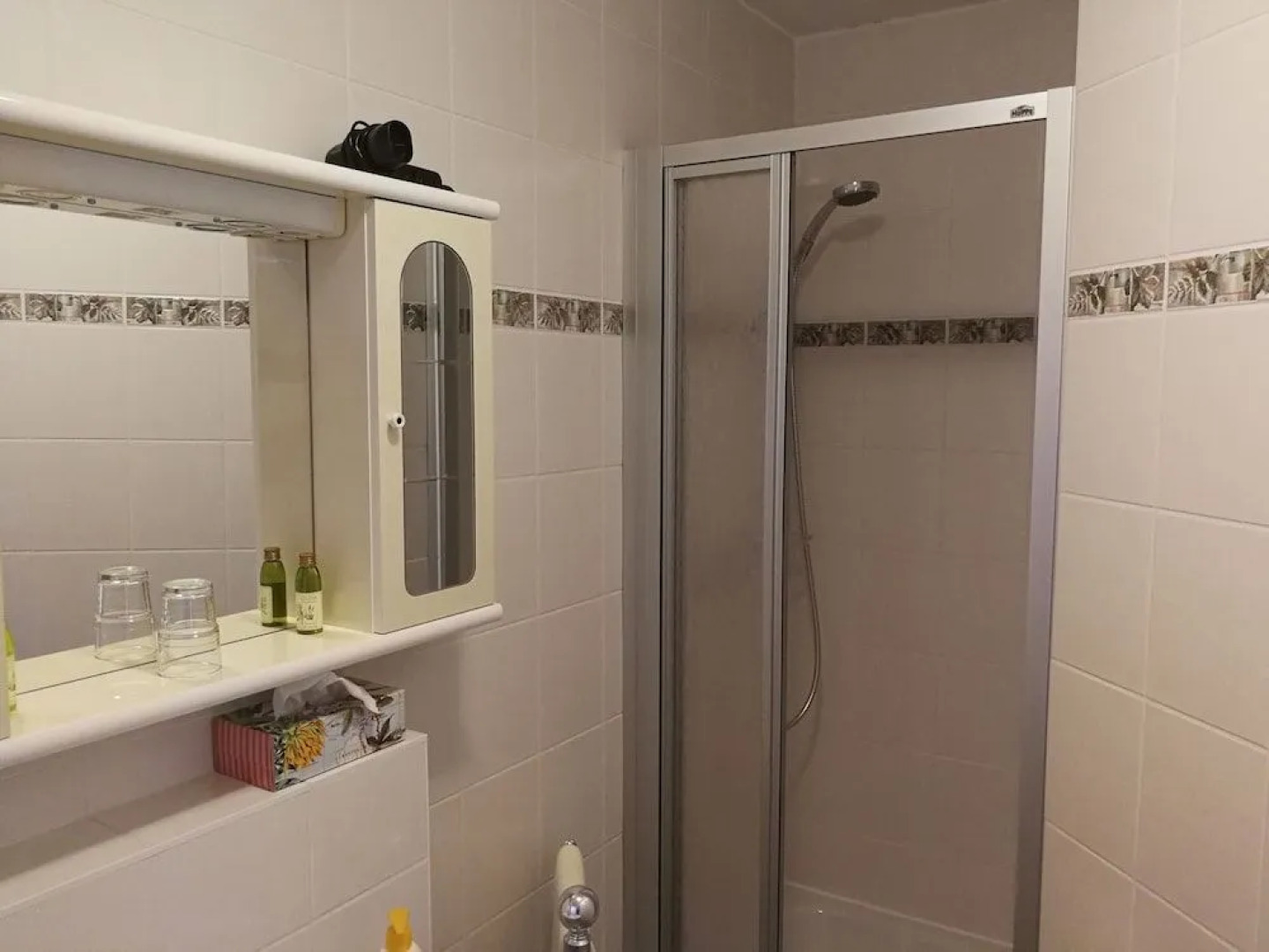 Felixanum Hotel & Galerie