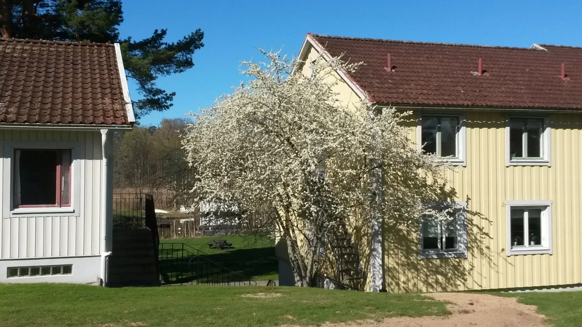 Solviken vandrarhem & Konferens - Hostel