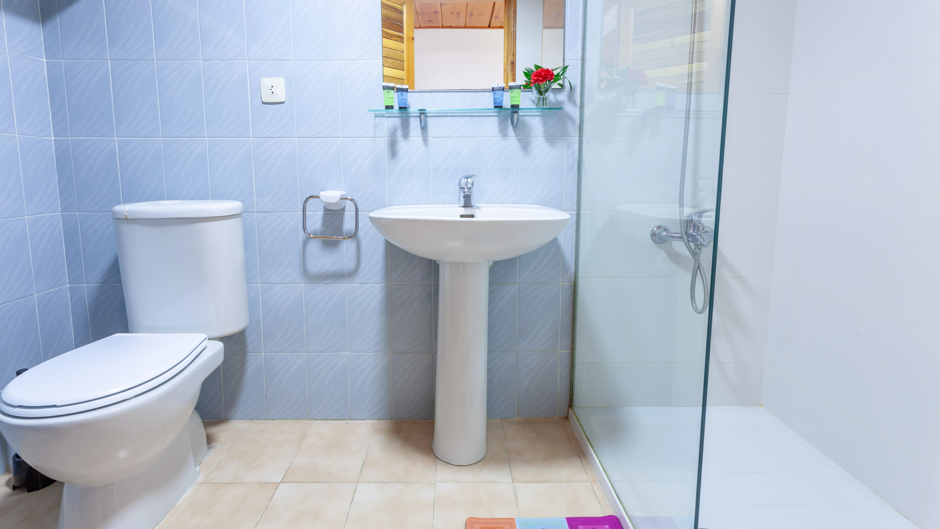 Apartamentos Royal S´Alguer