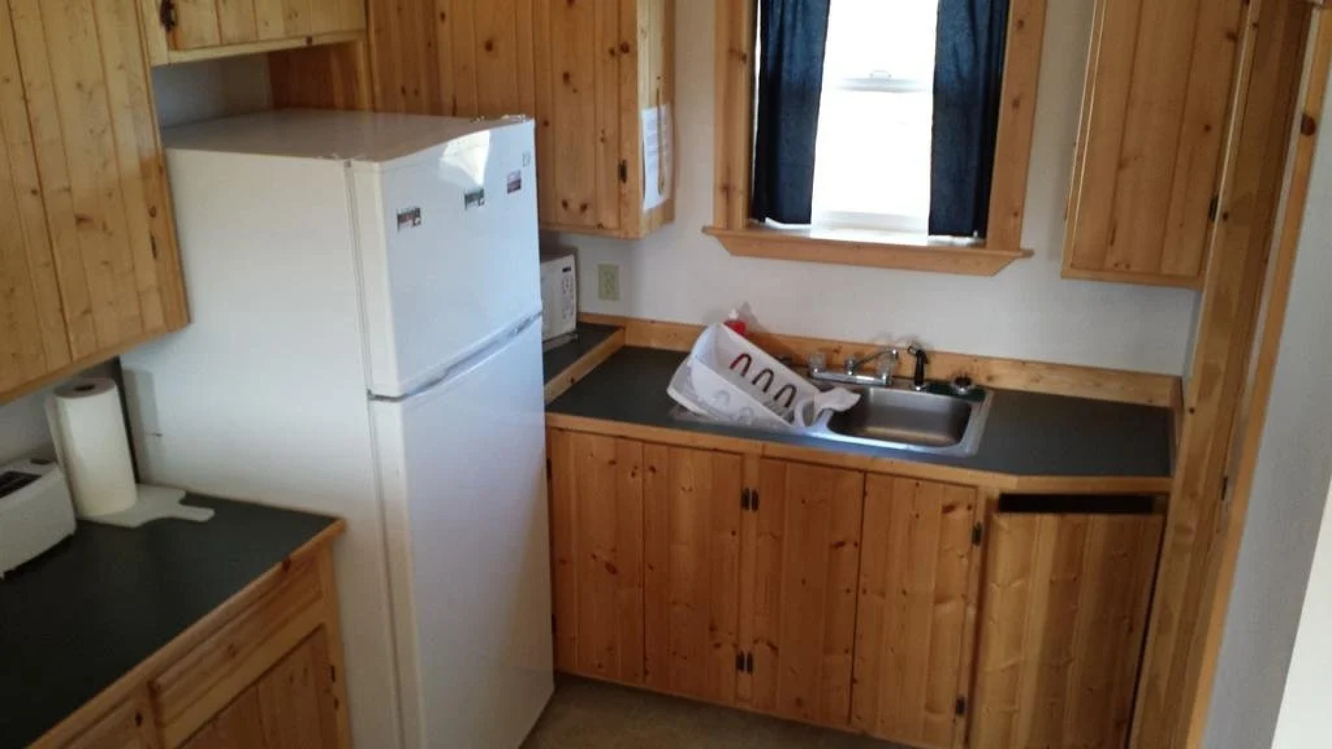 Denali'S Alaskan Spruce Cabins