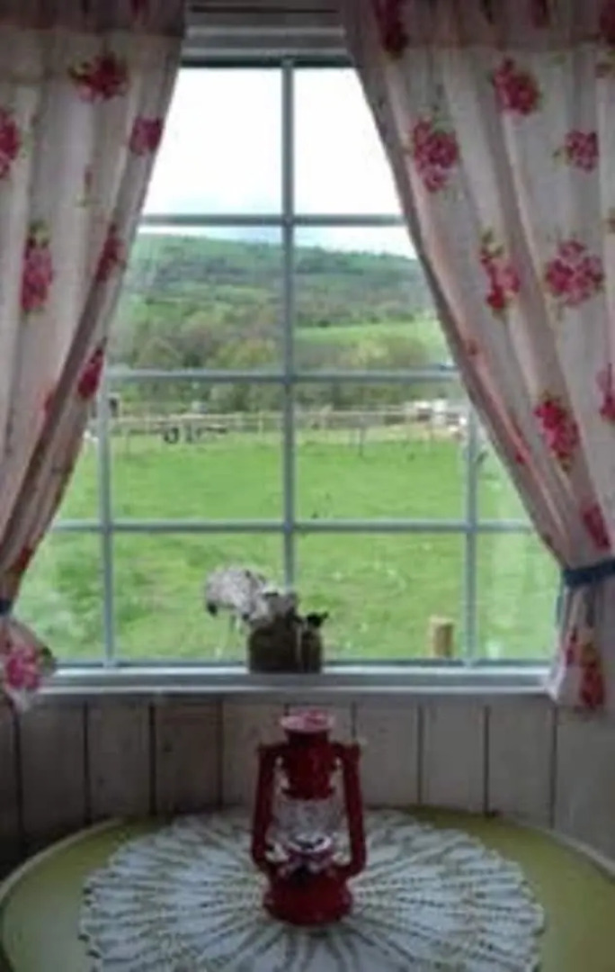 Ruby Shepherds hut Sleeps 4