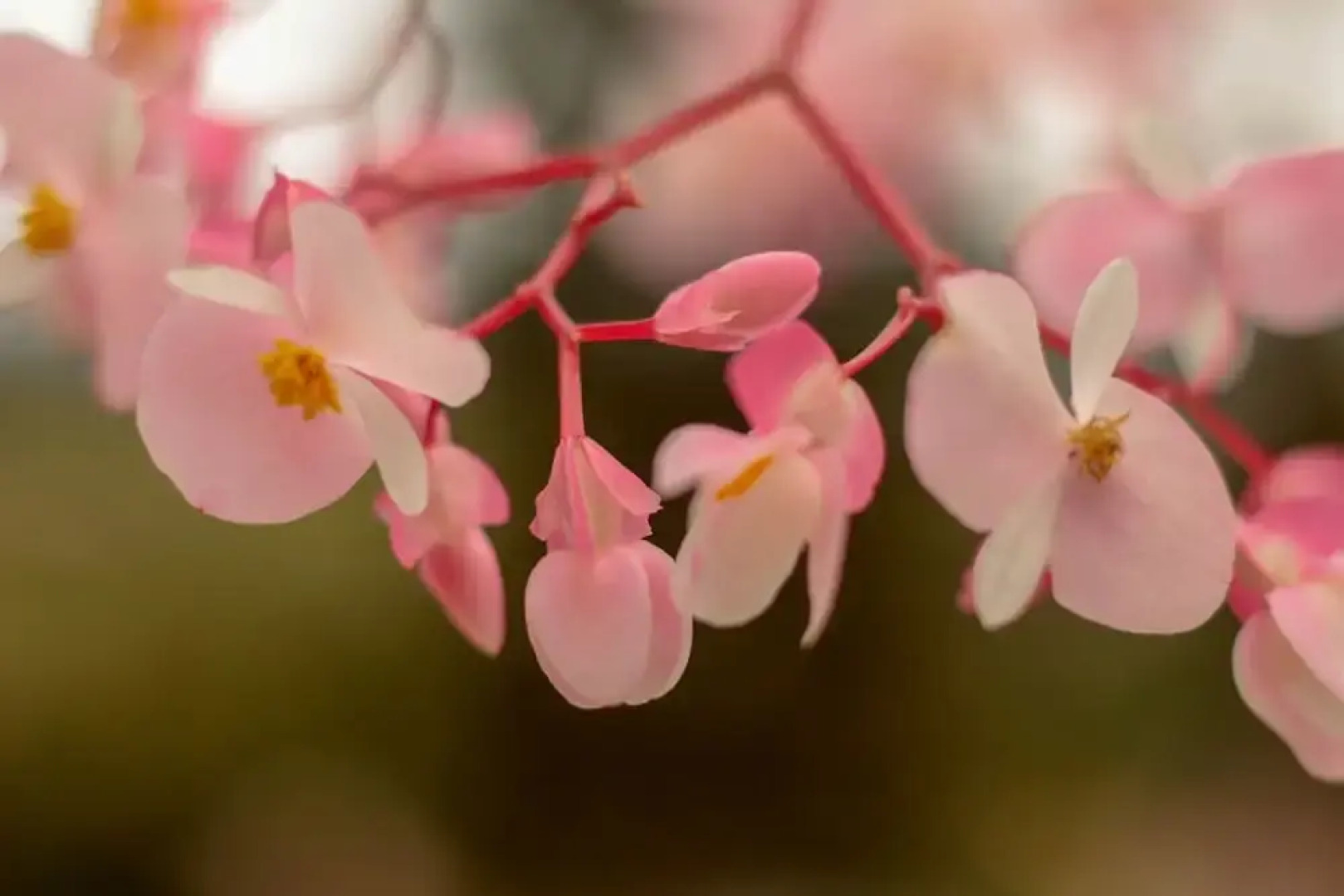 San Julio Hospedaje Campestre
