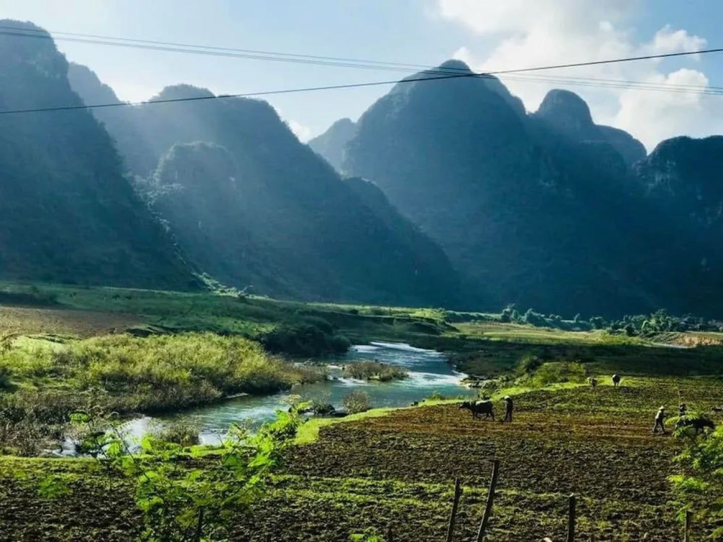 Phong Nha Riverlife Homestay - Hostel