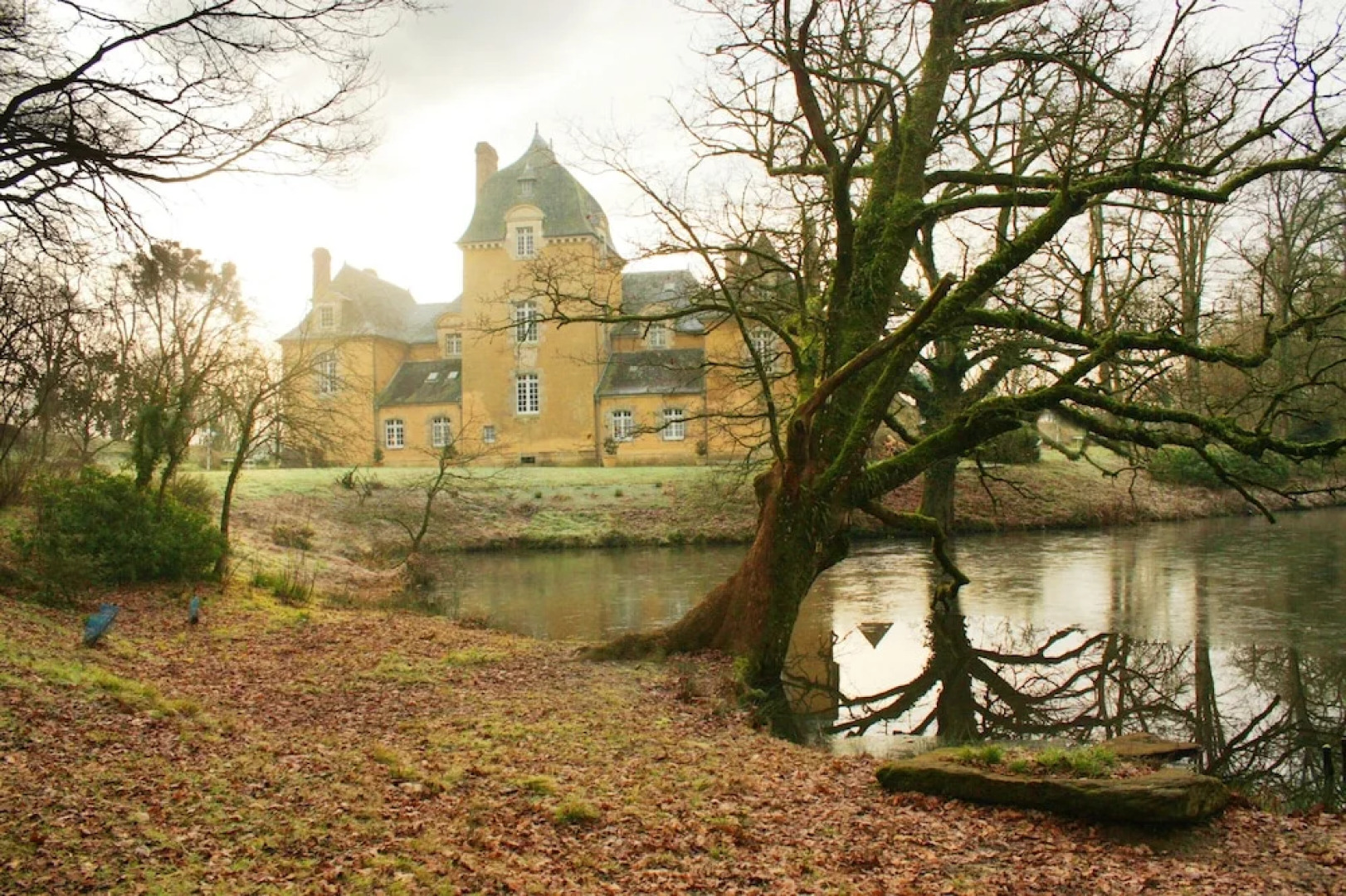 Mansion With 5 Bedrooms in Poligné, With Private Pool, Furnished Garde