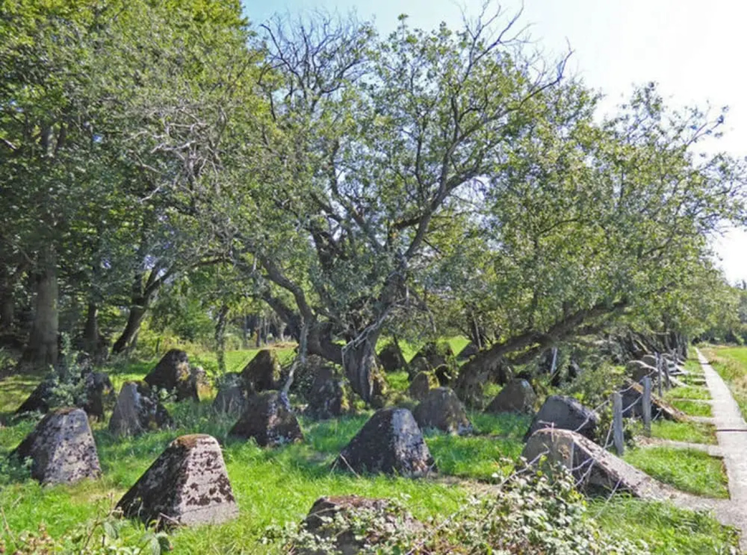 Muller Comfortable Holiday Residence