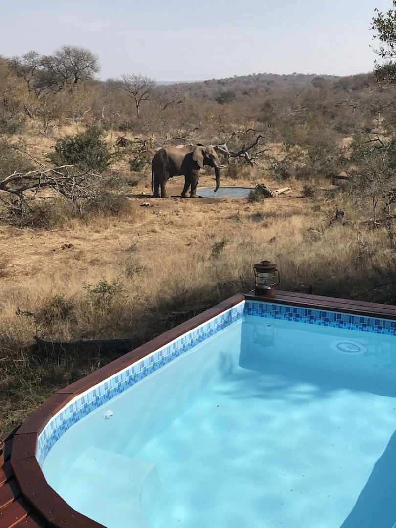 Ximongwe Safari Camp