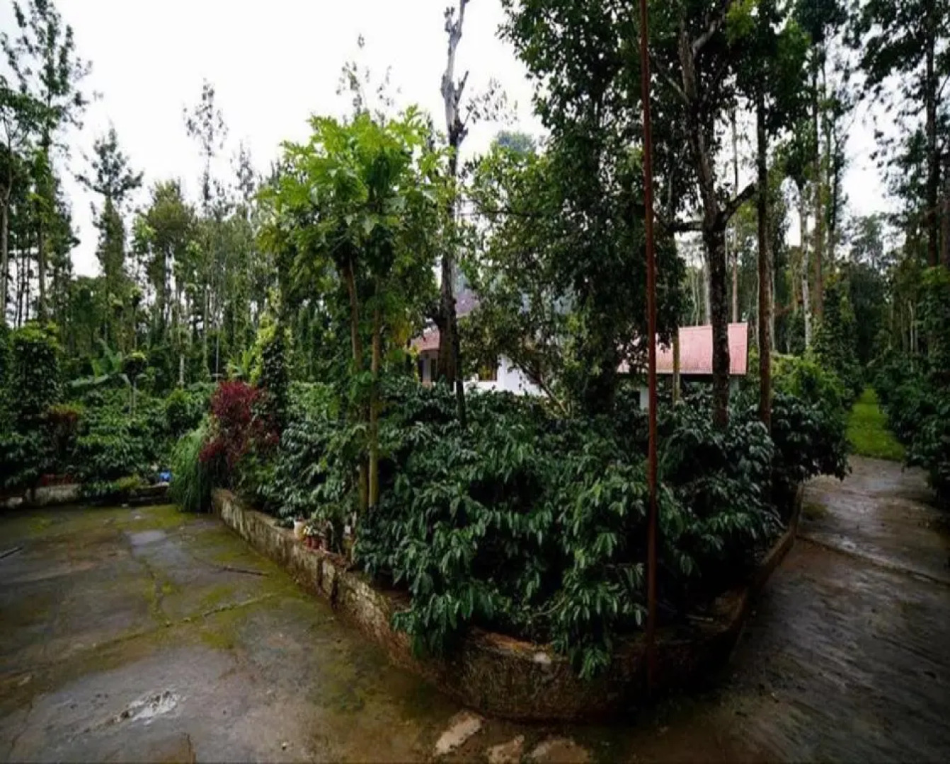 The Outback Coorg Estate by StayApart