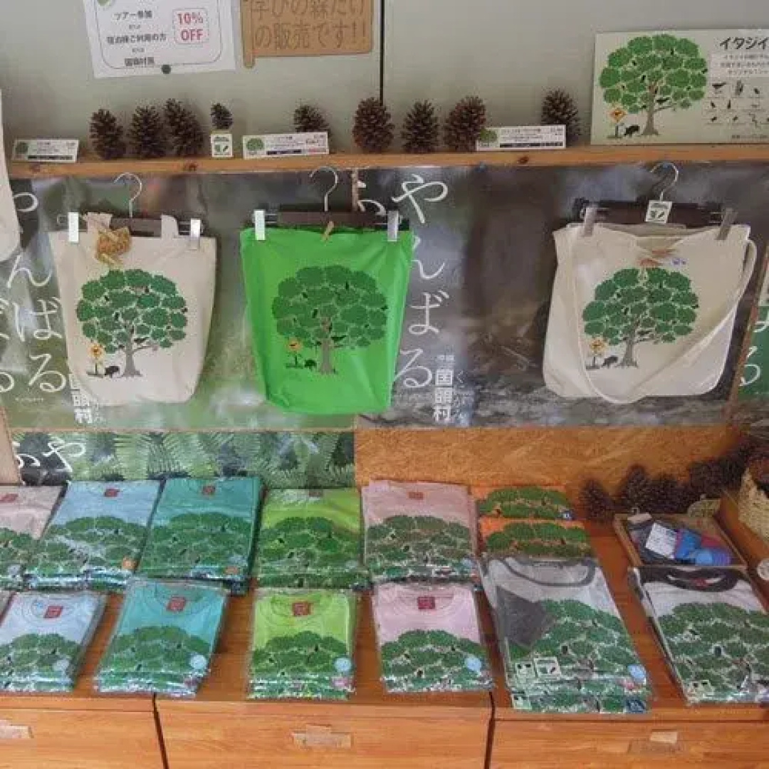 Yambaru Manabi No Mori Shukuhakuto