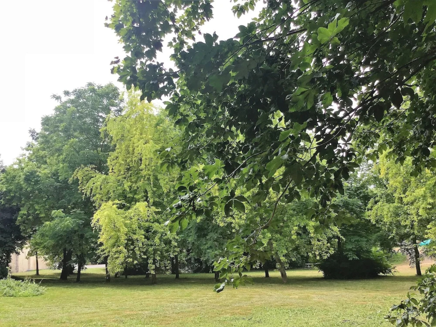 Domaine de la cour des lys Caen-Bayeux