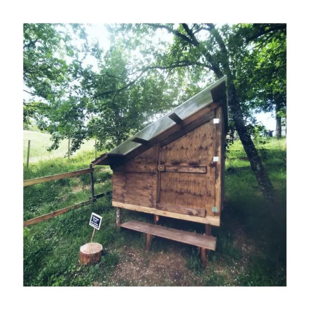 Borgoguerzano77 (Adults Only)