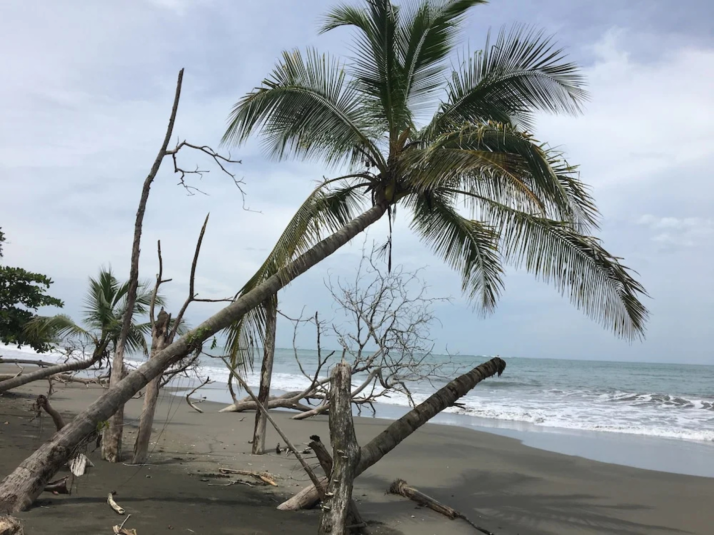 Coral Hill Bungalows
