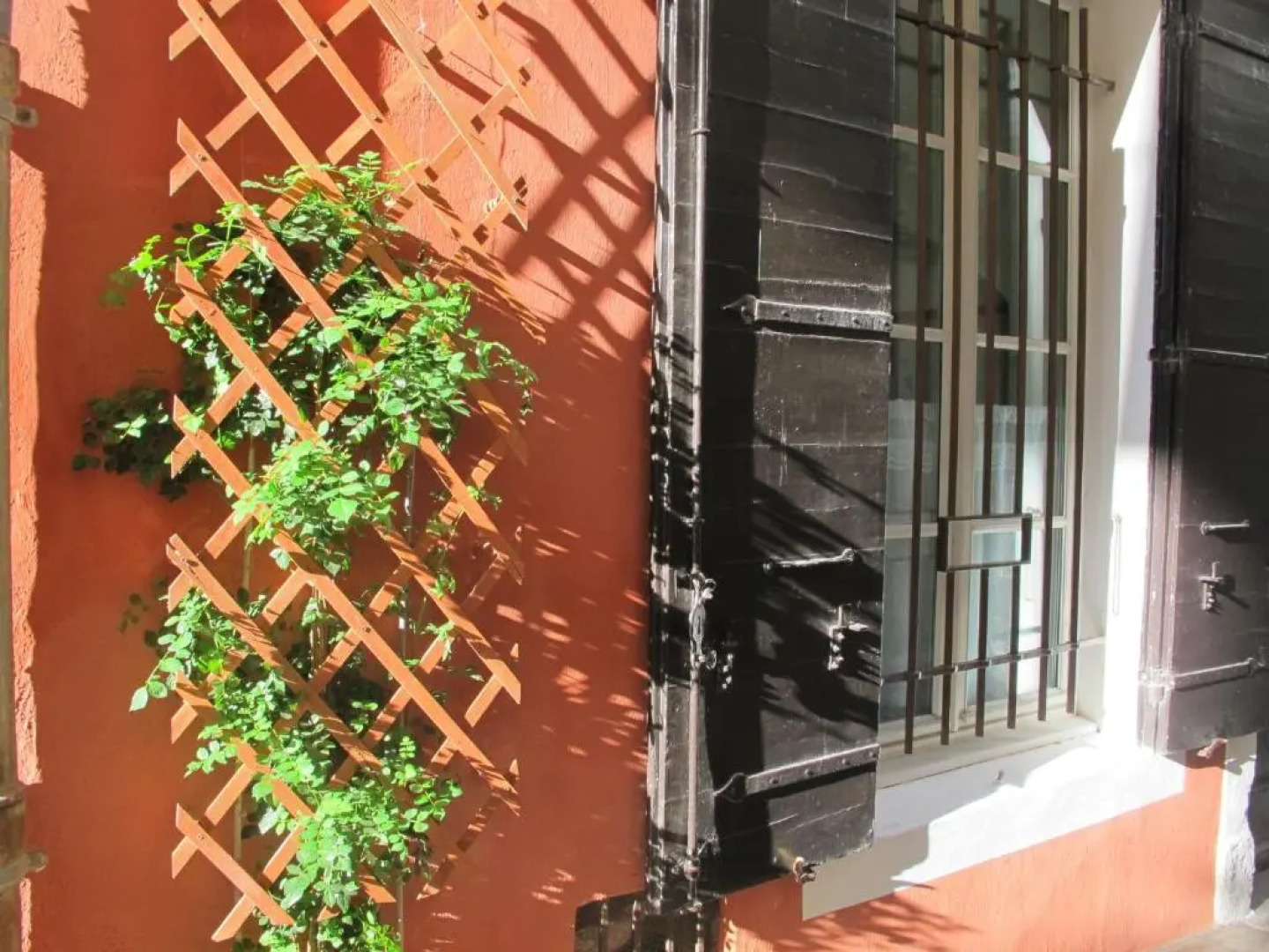 B&B in Arles "LAtelier du Midi"