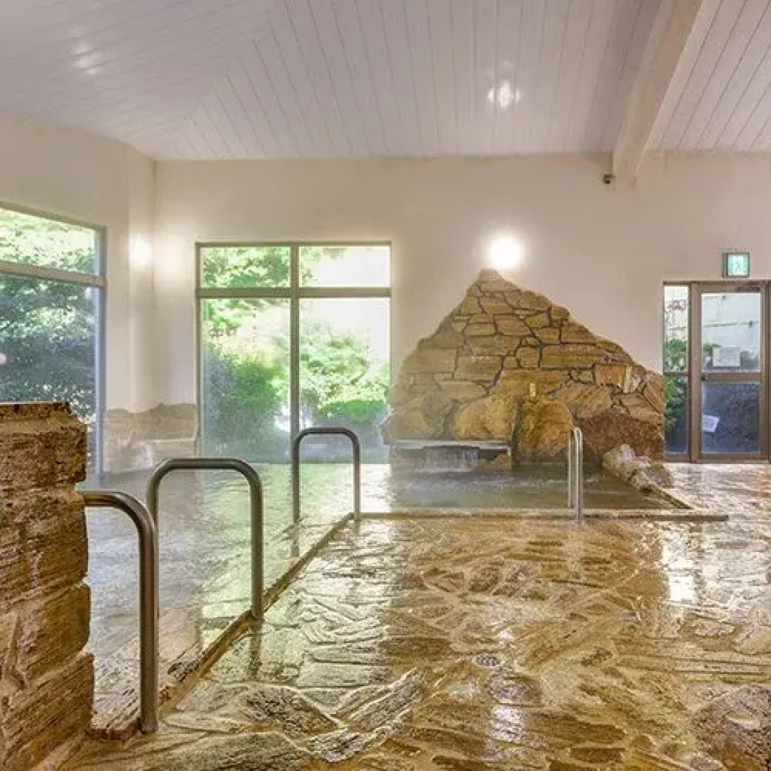 Susono Tansankarushiumu Onyoku Ichinose