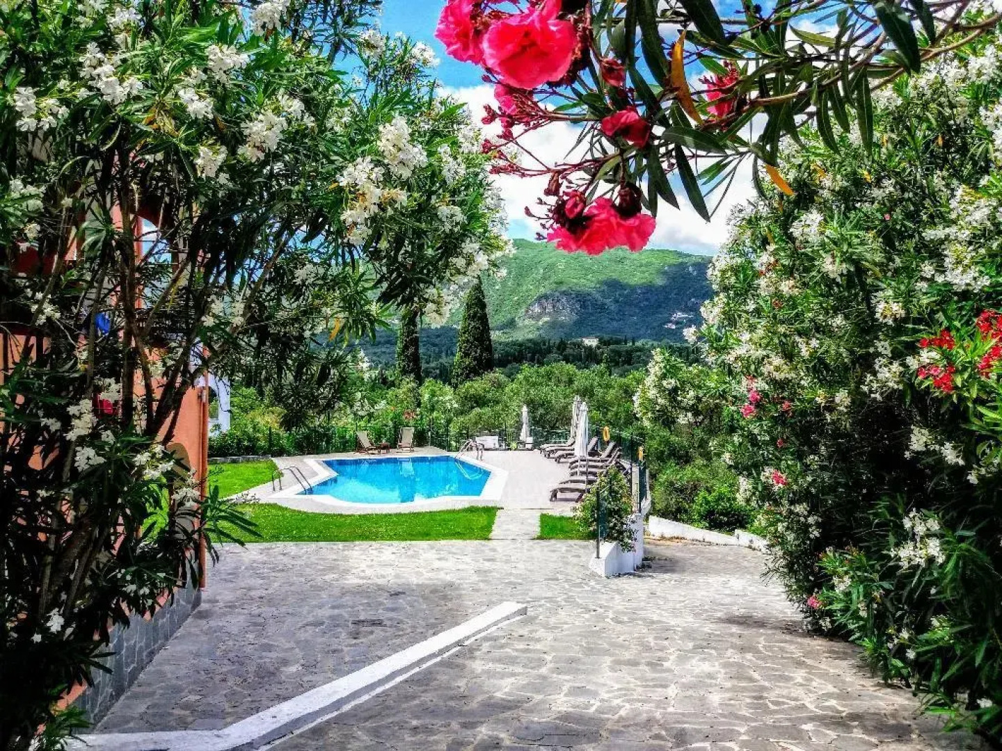 Ziogas Luxury Apartment's