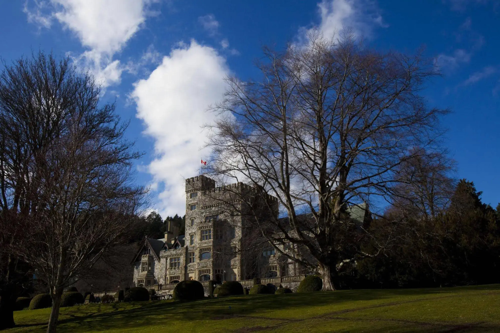 Birds of a Feather Victoria Oceanfront Studio Suites