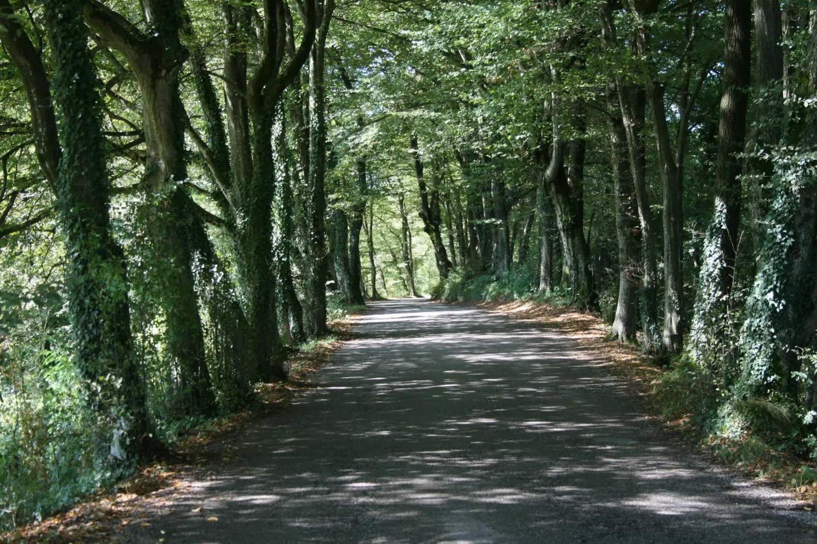 Villa San Liberale - Suites & Wellness - Villa Veneta