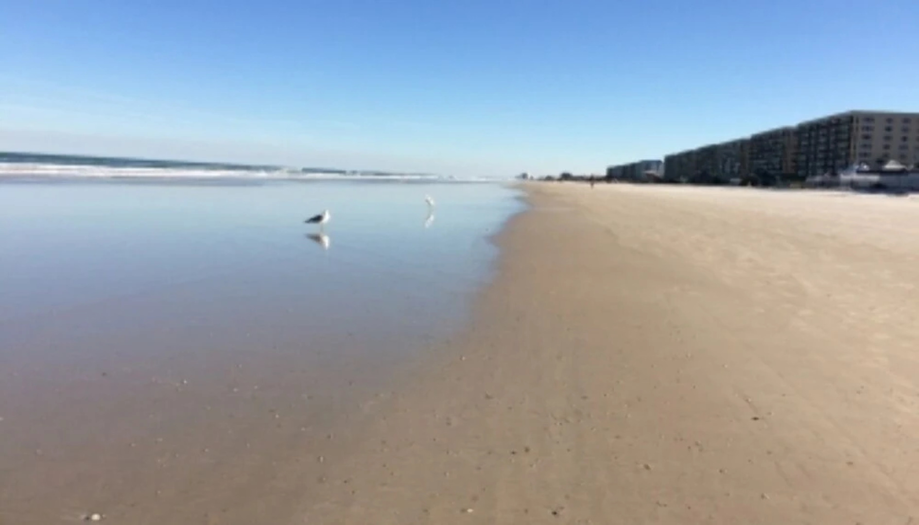 Great Ocean & River Views - 2 BR 2 BA - South Point Condominiums 107