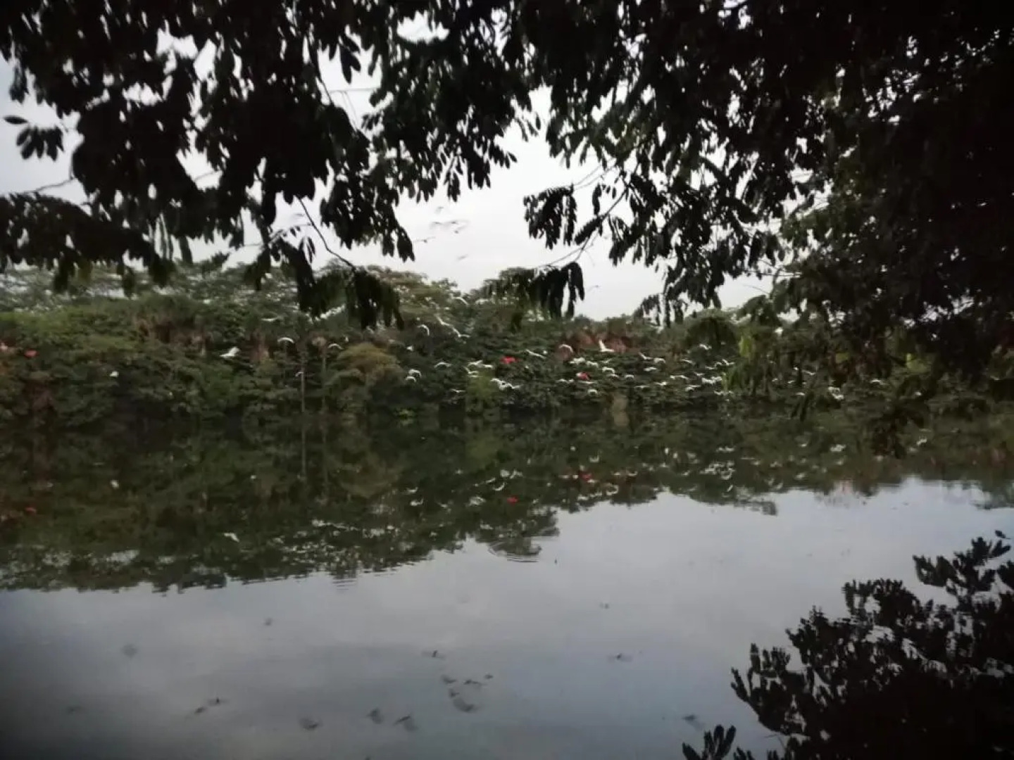 Hotel Ecoposada Viña de Aldana