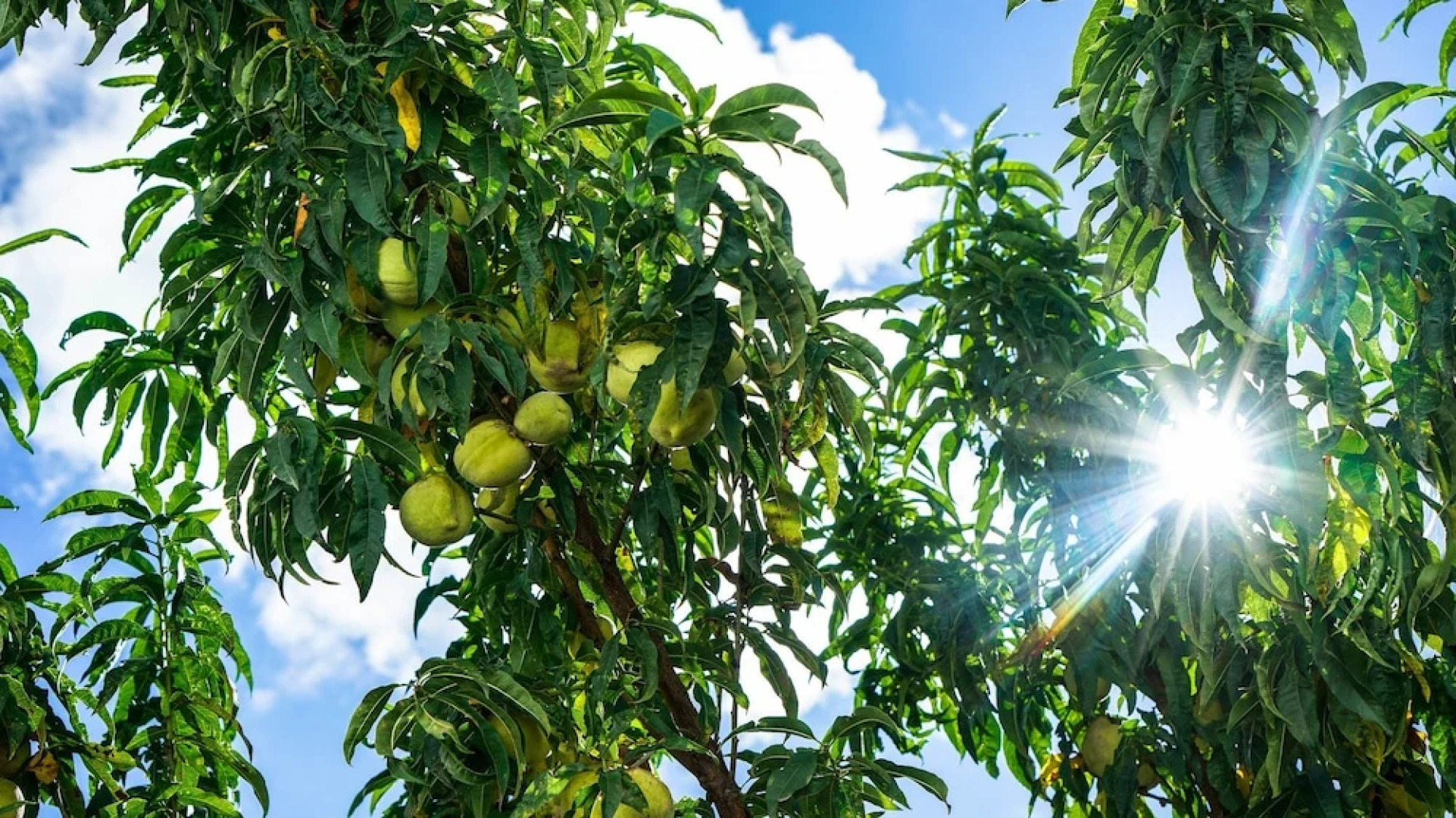 B&B Sacred Valley Larespampa