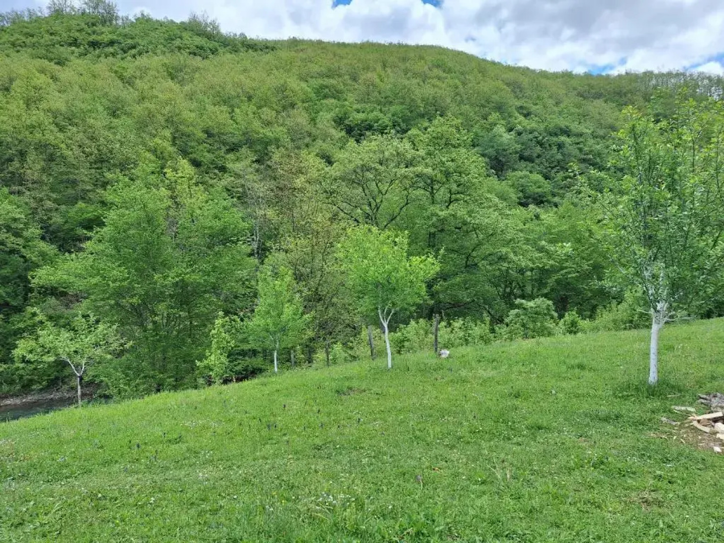 Country house Tara Orasac