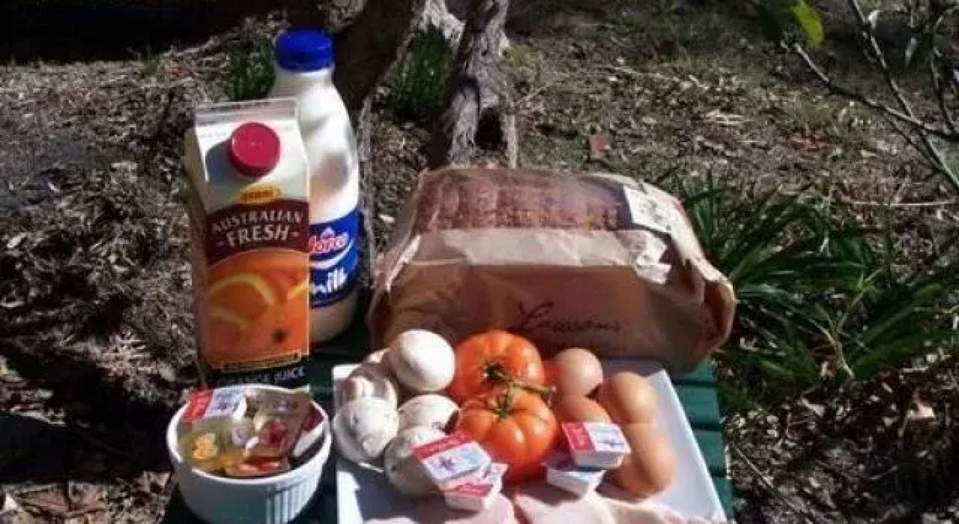 Cypress Ridge Cottages