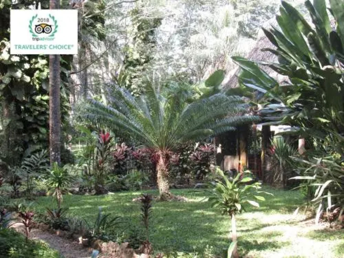 Macaw Bank Jungle Lodge